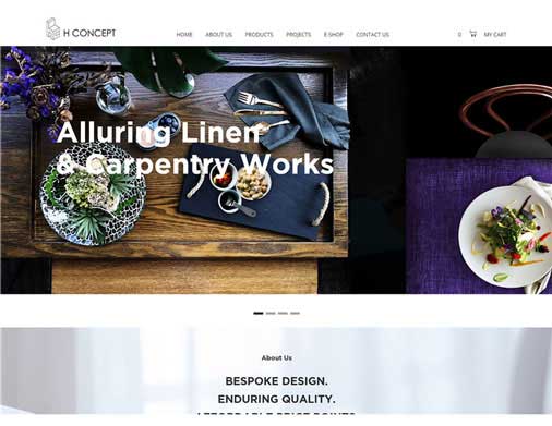 Website creative development design agency Singapore in ecommerce