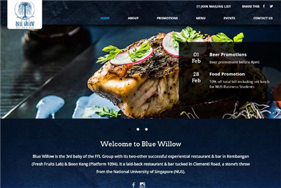 website_design_for_Blue_Willow