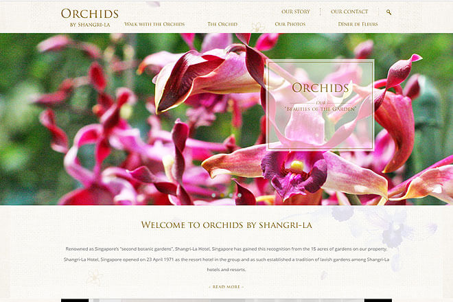 orchidssrl-home